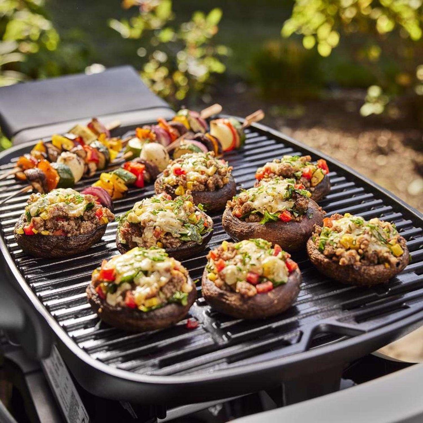 Weber Q 2800N+ w/Cart 2 Burner Grill Weber Indigo Pool Patio BBQ