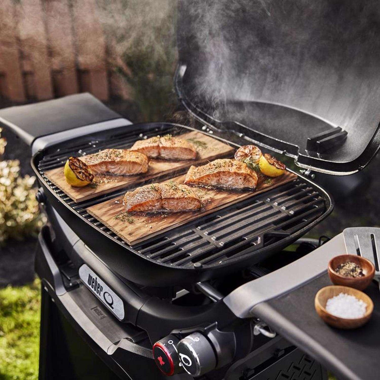 Weber Q 2800N+ w/Cart 2 Burner Grill Weber Indigo Pool Patio BBQ