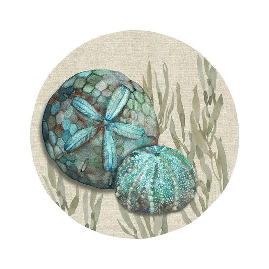 Crescent Beach 8.5 in. Salad Plate - Sand Dollar - Indigo Pool Patio BBQ