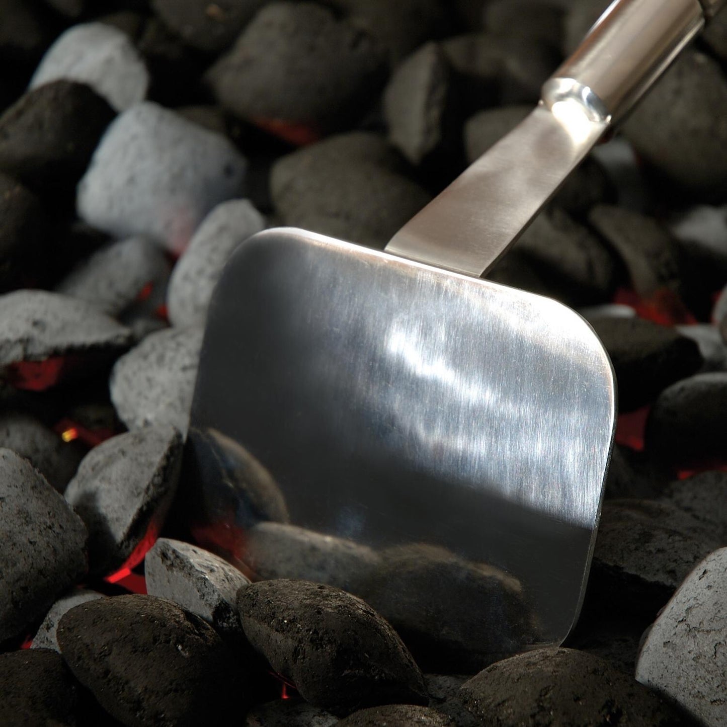 Steven Raichlen Charcoal & Ash Hoe Steven Raichlen Indigo Pool Patio BBQ