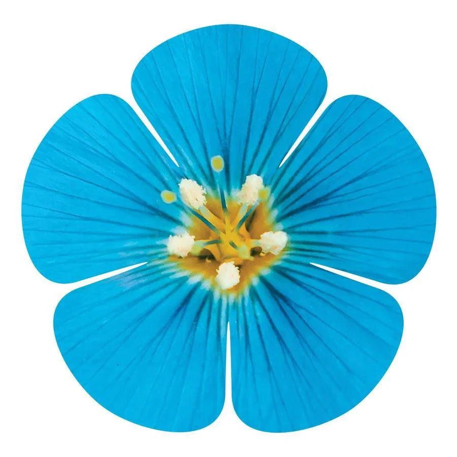 5 Petal Flower Metal Wall Art Next Innovations Indigo Pool Patio BBQ