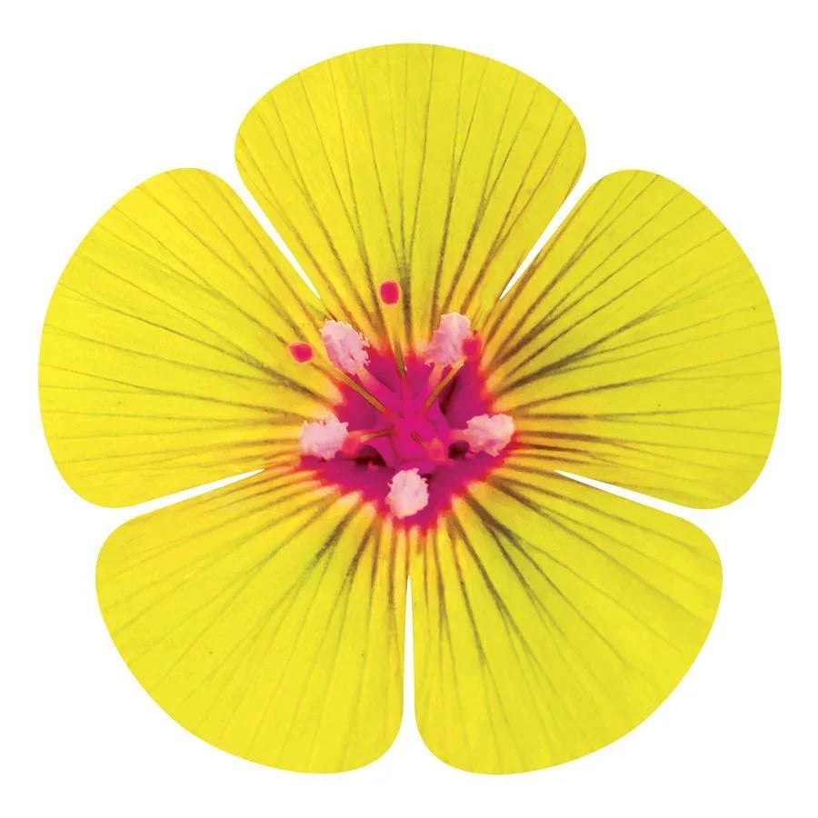 5 Petal Flower Metal Wall Art Next Innovations Indigo Pool Patio BBQ