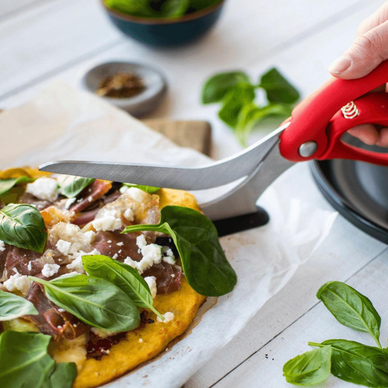 Scizza - Pizza Cutter Scissors Dreamfarm Indigo Pool Patio BBQ