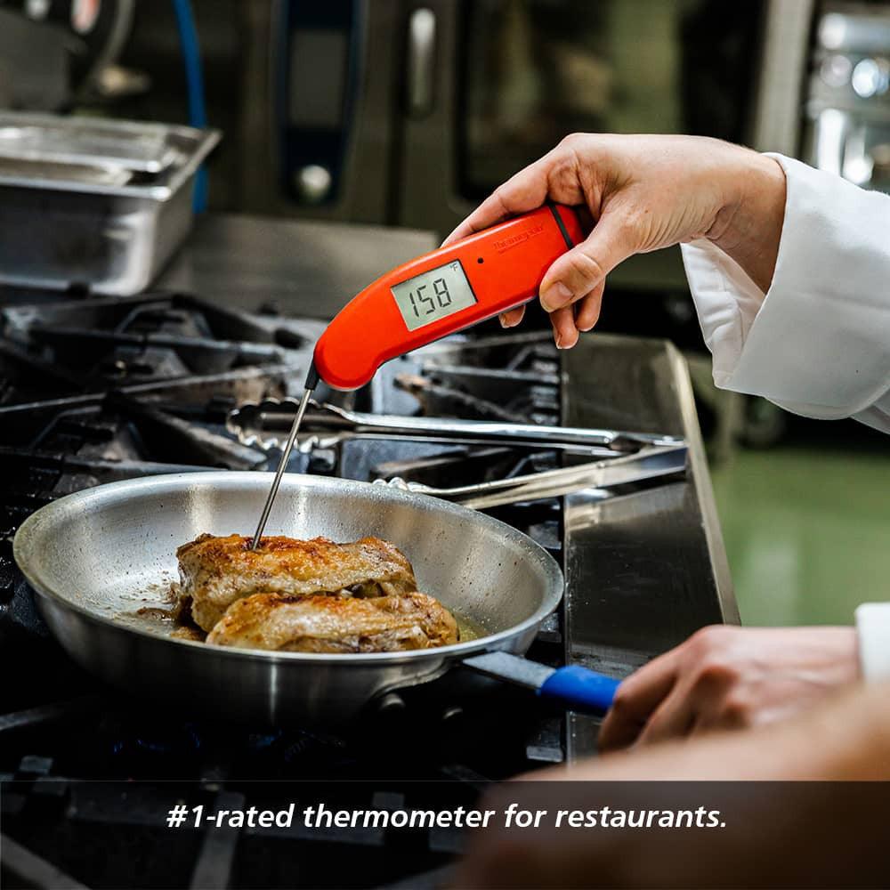 Thermapen One Thermometer ThermoWorks Indigo Pool Patio BBQ