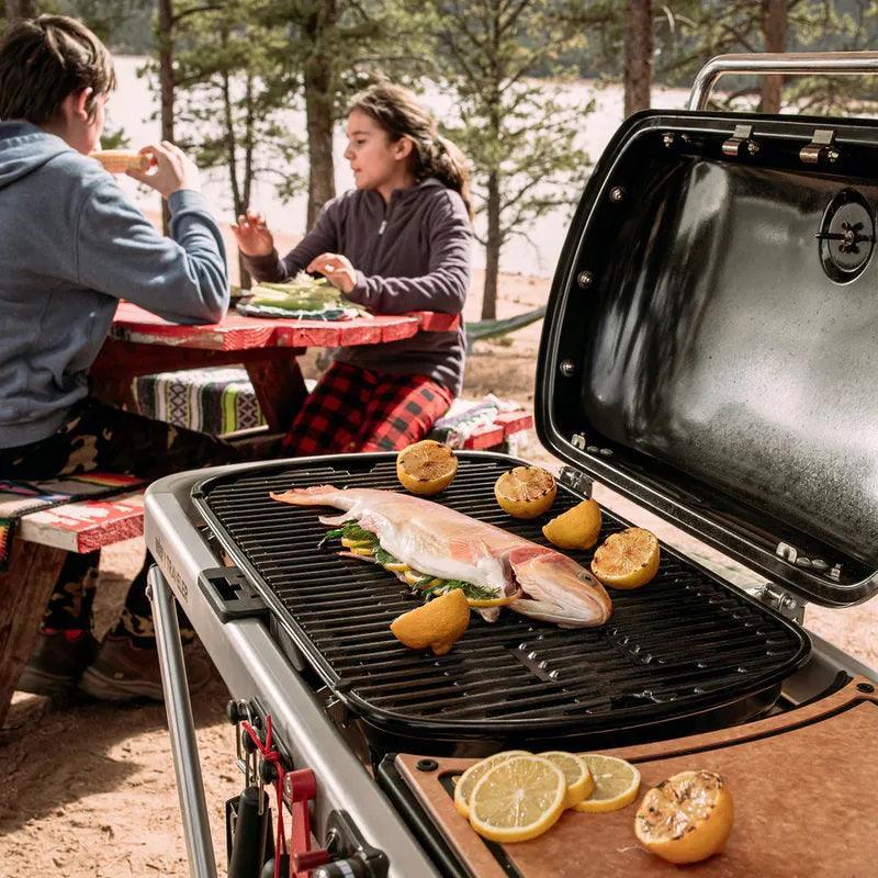 Weber Traveler Portable Gas Grill Weber Indigo Pool Patio BBQ