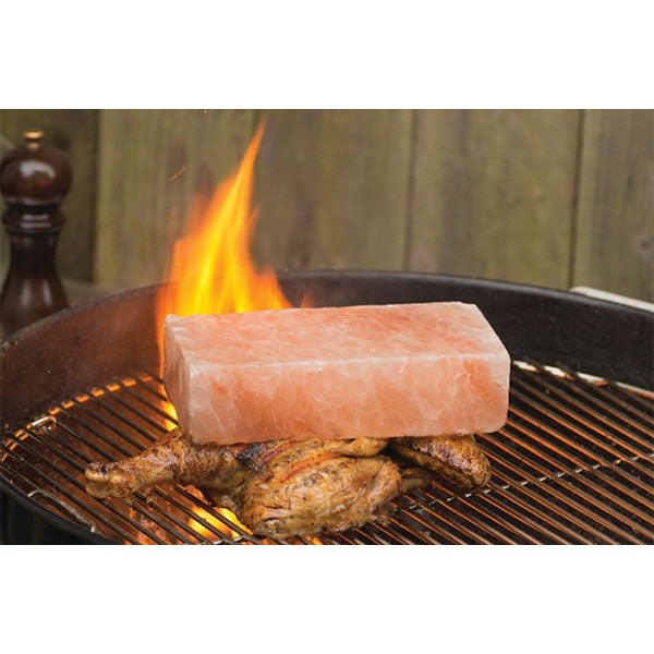 Steven Raichlen Himalayan Salt Brick & Press Steven Raichlen Indigo Pool Patio BBQ