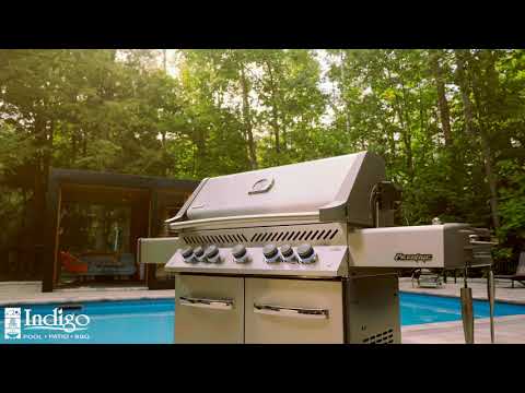 Napoleon Prestige Series P500RSIB - Indigo Pool Patio BBQ