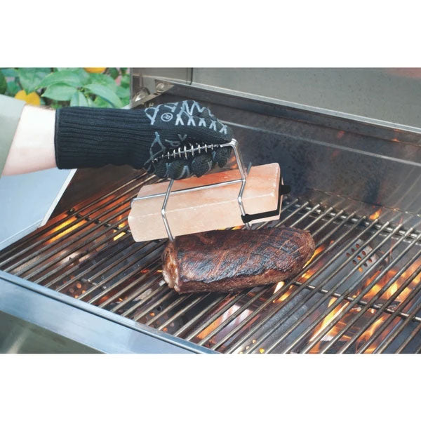 Steven Raichlen Himalayan Salt Brick Press Steven Raichlen Indigo Pool Patio BBQ