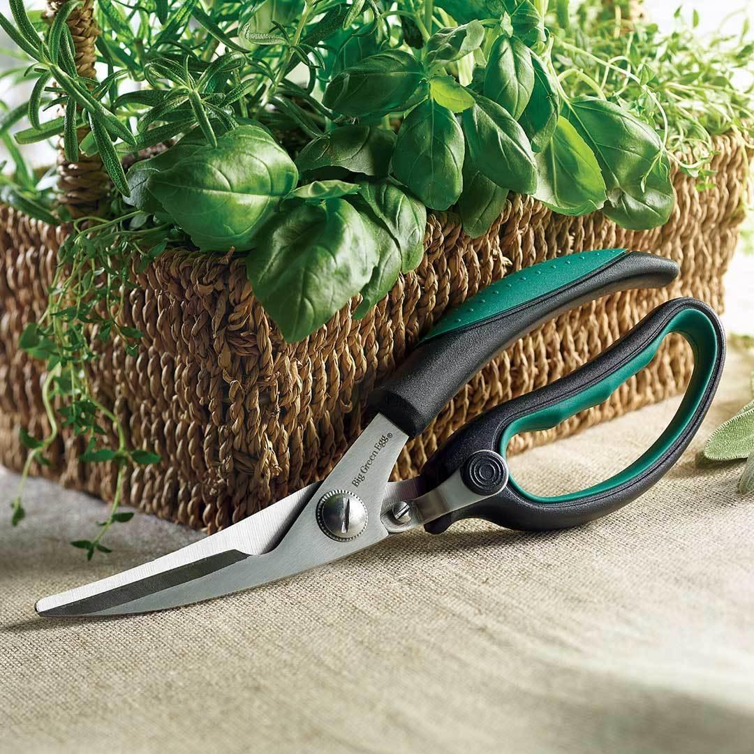 Big Green Egg Kitchen Shears Big Green Egg Indigo Pool Patio BBQ
