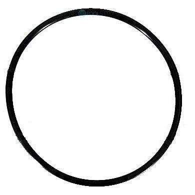 Pentair O-Ring Diffuser - 355227 Pentair Indigo Pool Patio BBQ