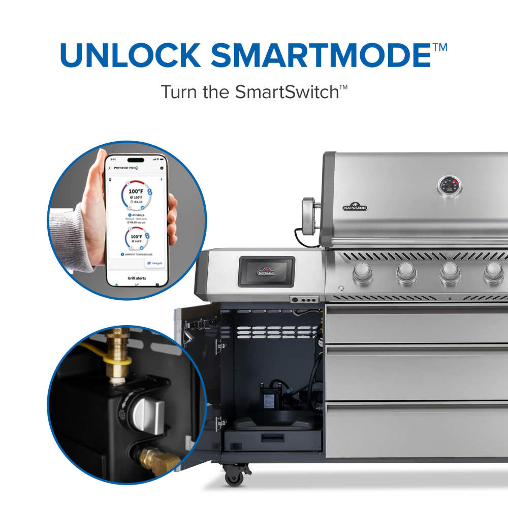 Prestige® PRO 665 Elite - Indigo Pool Patio BBQ